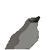 Ŀ